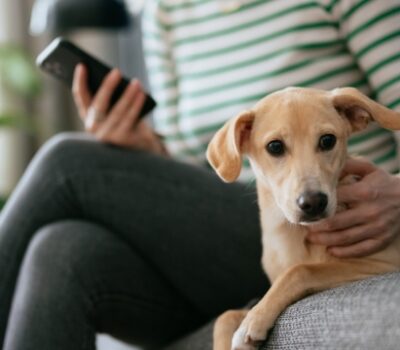 Example Post 3 Card Image