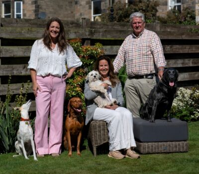 Fintech start-up MyPetCard launches an alternative to pet insurance Card Image
